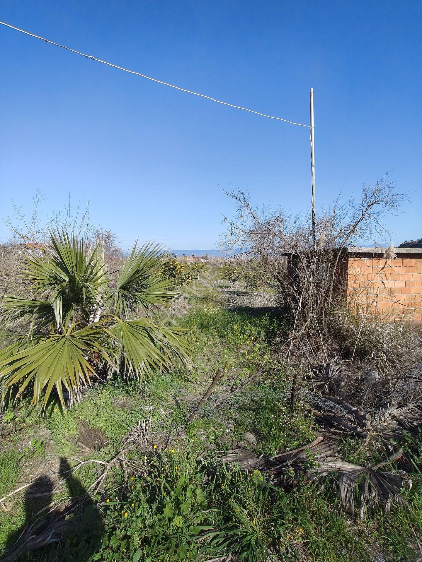 Ortaca Dalyan'da İmarlı Arsa - Görsel 5