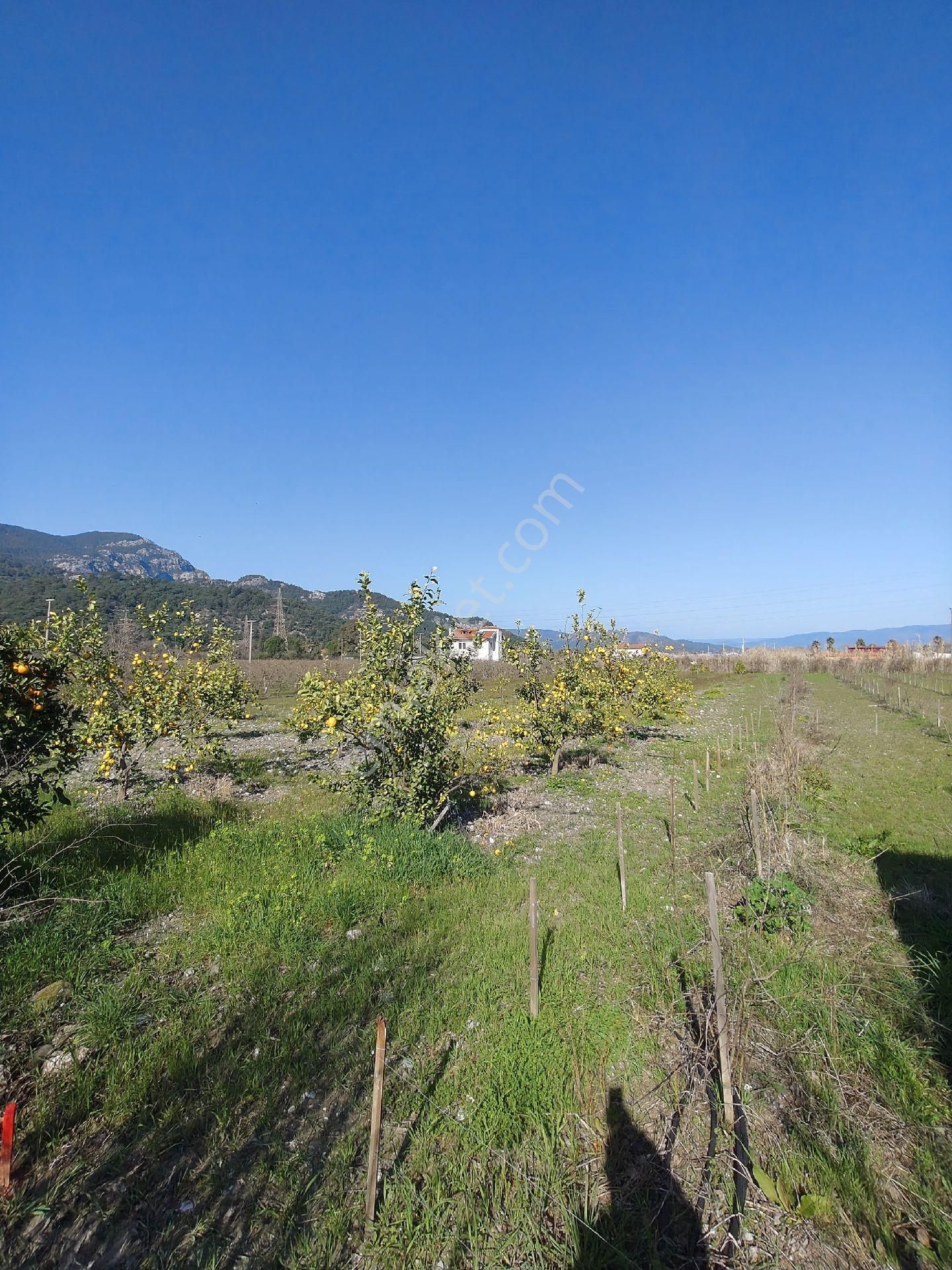 Ortaca Dalyan'da İmarlı Arsa - Görsel 6