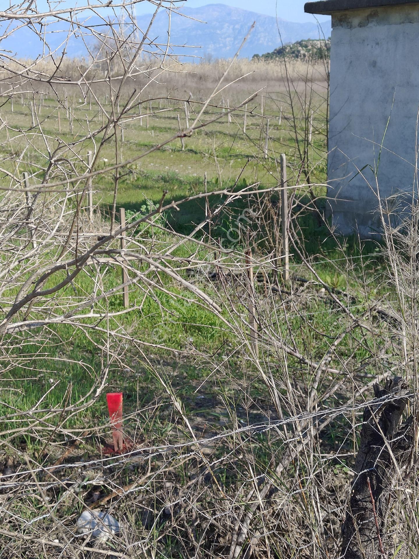 Ortaca Dalyan'da İmarlı Arsa - Görsel 4