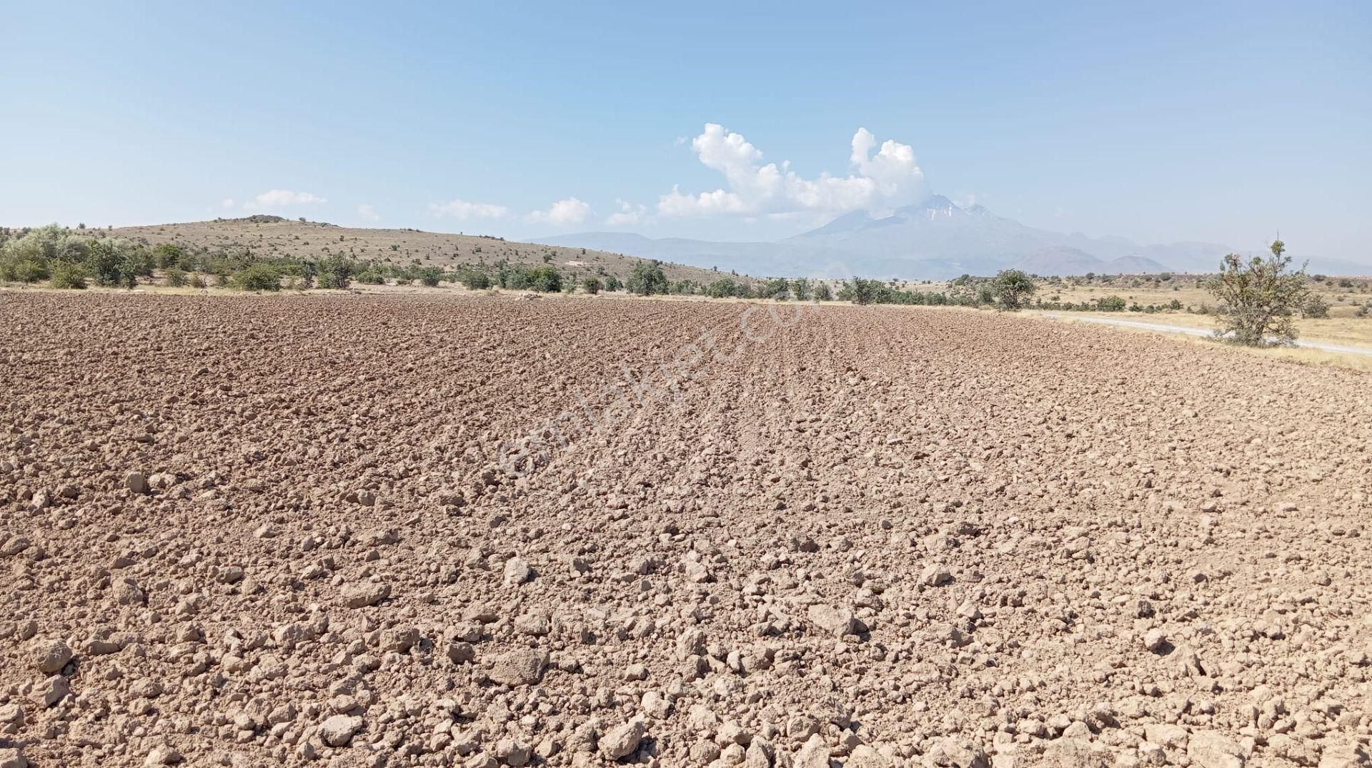 Melikgazi Kayabağ Satılık Tarla Kayseri Gesi Kayabağ Planlanan Toki Arsaları Yanıbaşında Fırsat Tarlası