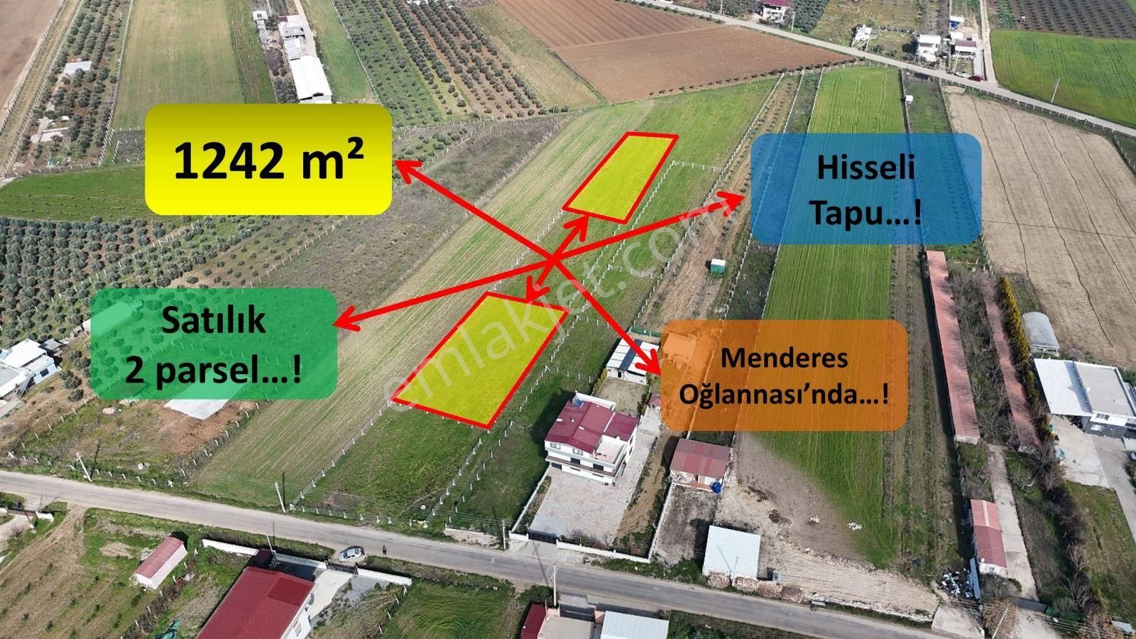 Menderes Oğlananası Atatürk Satılık Tarla İzmir Menderes Oğlananasında 1242 M2 Hisse Tapulu Arsalar