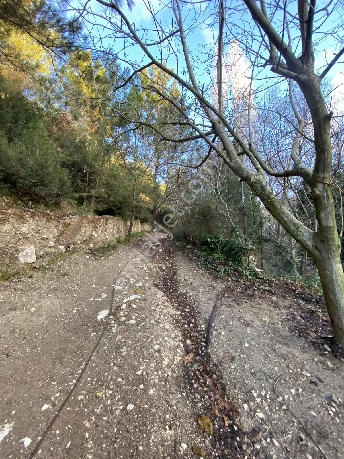 Bornova Yakaköy Satılık Daire Türkerden Satılık Yakaköyde 1315m Arsa İçerisinde Mustakil Ev...