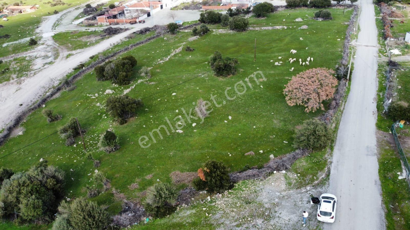 Bergama Kızıltepe Satılık Konut İmarlı 124/4 Ada Parsel Arsa 1 Dönüm 706 Metrekare