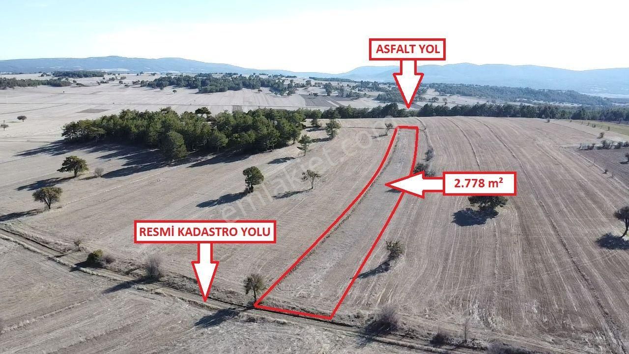 Aslanapa Çamırdık Köyü Satılık Tarla Kütahya Aslanapa Çamırdık' Da Satılık 2778m2 Tarla