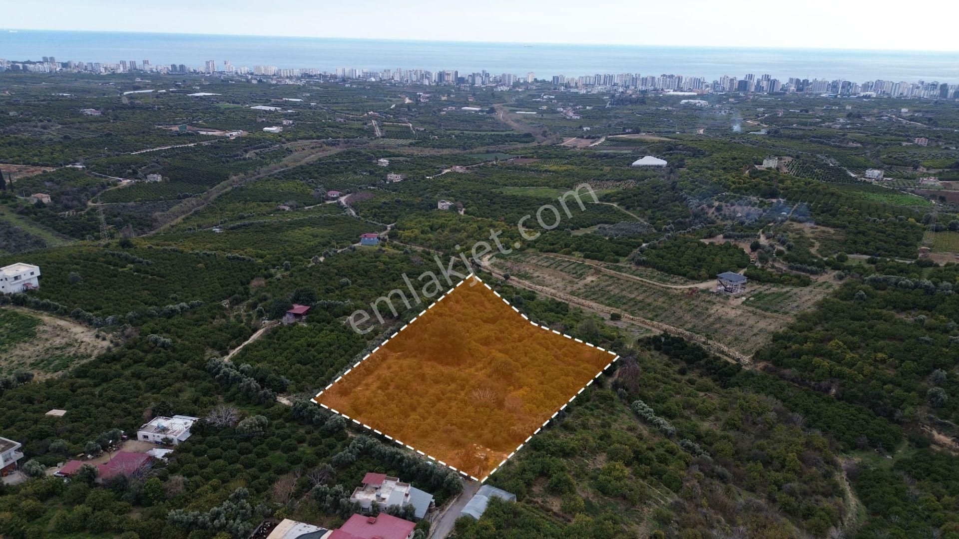 Aslan'dan Tecede Gelecek Vadeden Deniz Manzaralı Yaırımlık Bahçe - Görsel 3