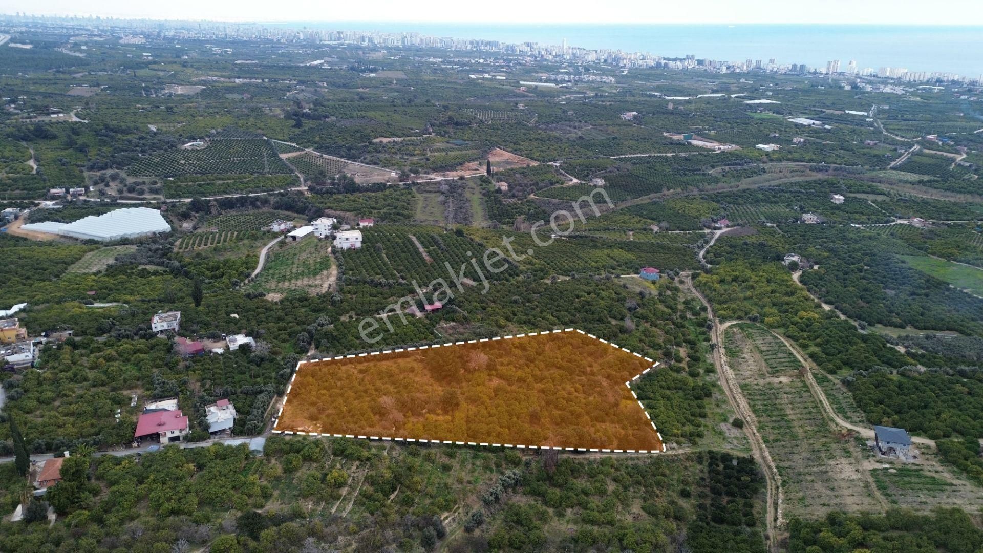 Aslan'dan Tecede Gelecek Vadeden Deniz Manzaralı Yaırımlık Bahçe - Görsel 4