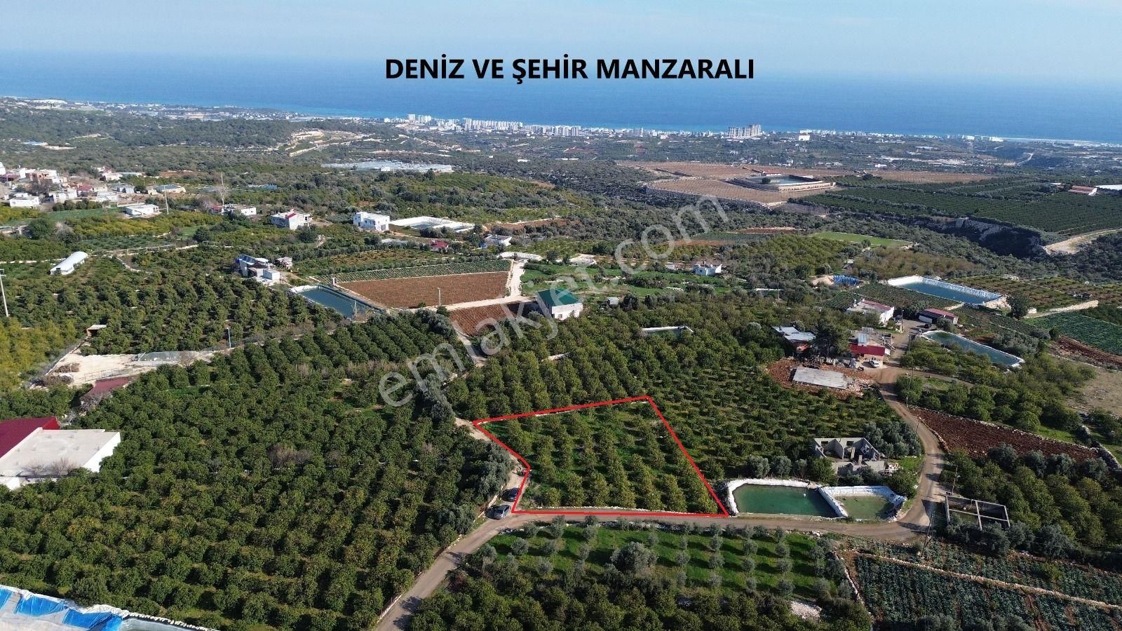 Mezitli Tece Satılık Bağ & Bahçe Aslan'dan Tecede Gelecek Vadeden Deniz Manzaralı Yaırımlık Bahçe