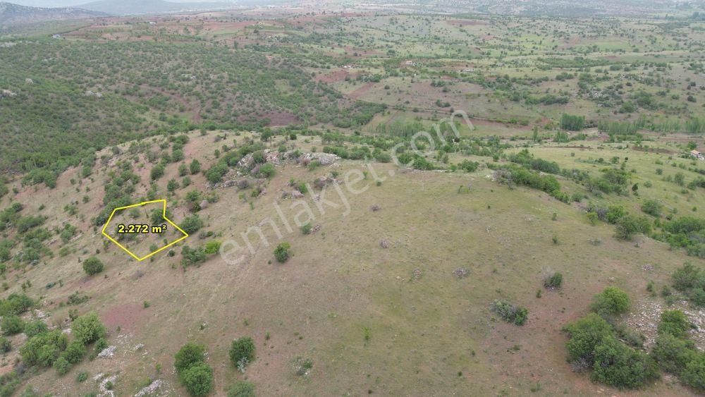 Güneysınır Gürağaç Satılık Tarla Güneysınır Gürağaçda 2.272 M2 Müstakil Tapulu Bağ