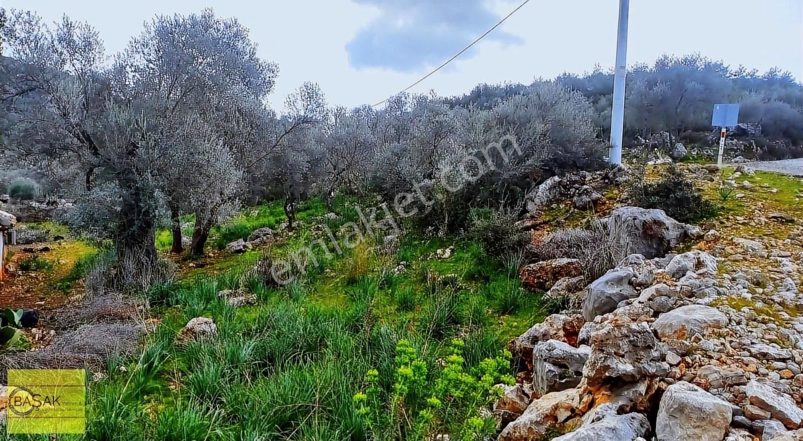 Seydikemer Gölbent Satılık Konut İmarlı Başaktan Karadere Plaj Yolu Üstünde Köy İçi İmarlı Müstakil Arsa