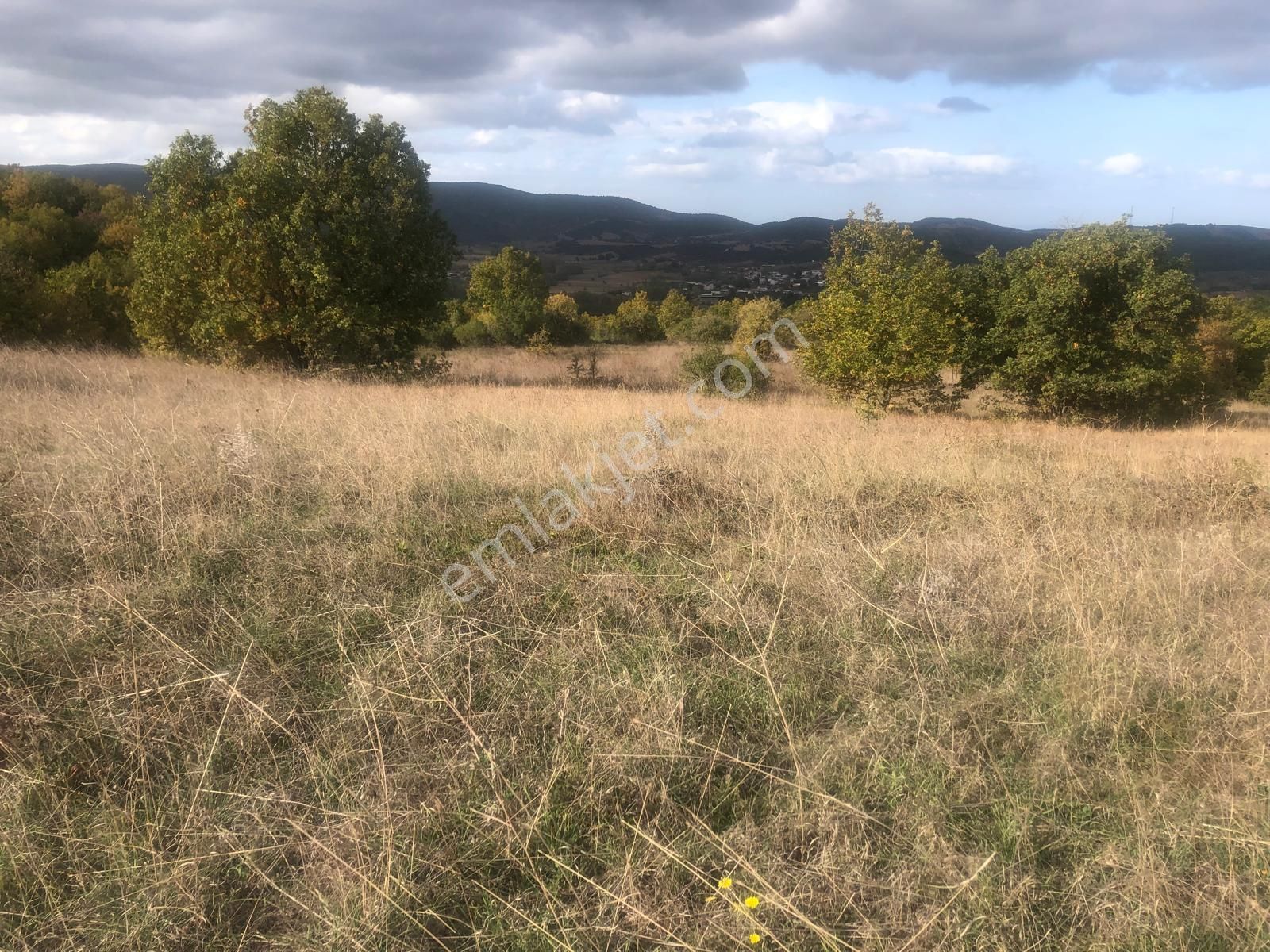 Biga Gürgendere Köyü Satılık Tarla Biga Gürgendere Köyünde Ormana Cephe 2150m2 Satılık Tarla