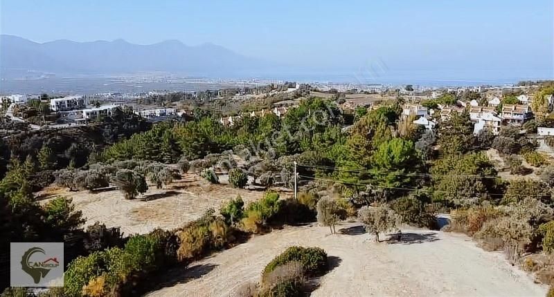 Kuşadası Soğucak Satılık Villa İmarlı Satılık Deniz Manzaralı Fırsat Manzaralı 12/14 Villa İmarlı Arsa