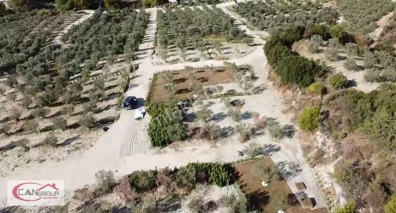 Söke Yaylaköy Arası Anayola Yakın Hobby Bahçesi - Görsel 5