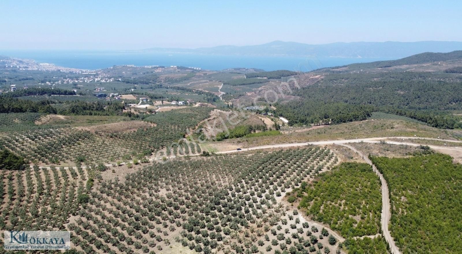 Mudanya Göynüklü Satılık Tarla Kökkaya'dan Mudanya'da Deniz Manzaralı Yola Cephe 4.000m2 Tarla