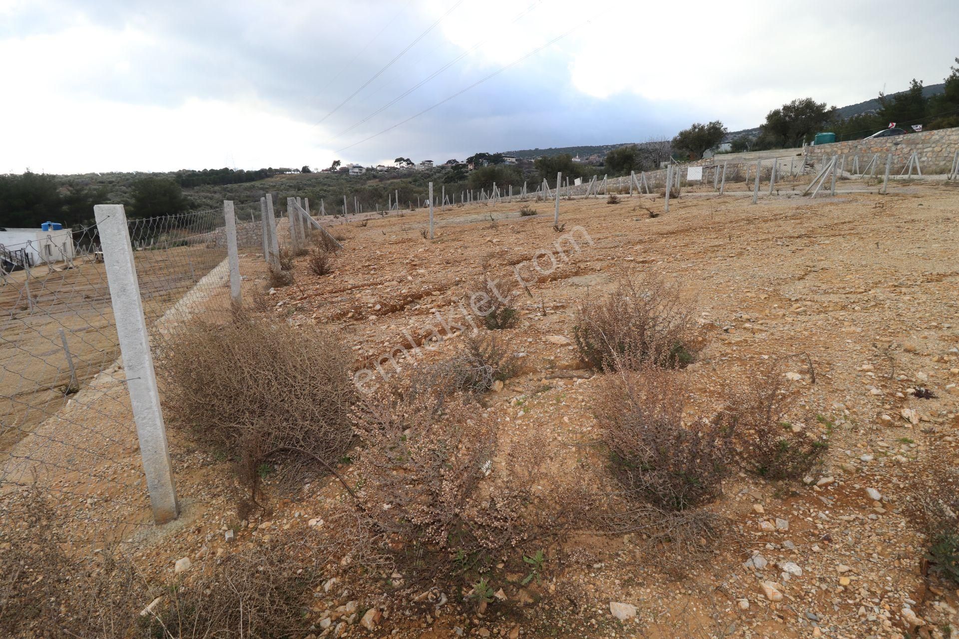 Kemalpaşa Çambel Satılık Bahçe 393 M2 - Görsel 28