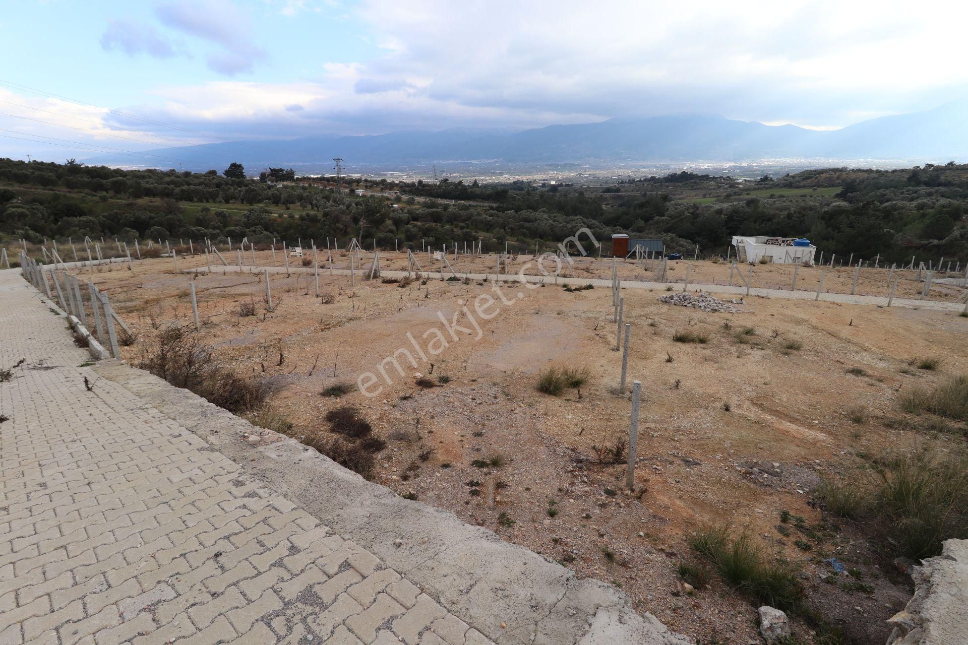 Kemalpaşa Çambel Satılık Bahçe 393 M2 - Görsel 35