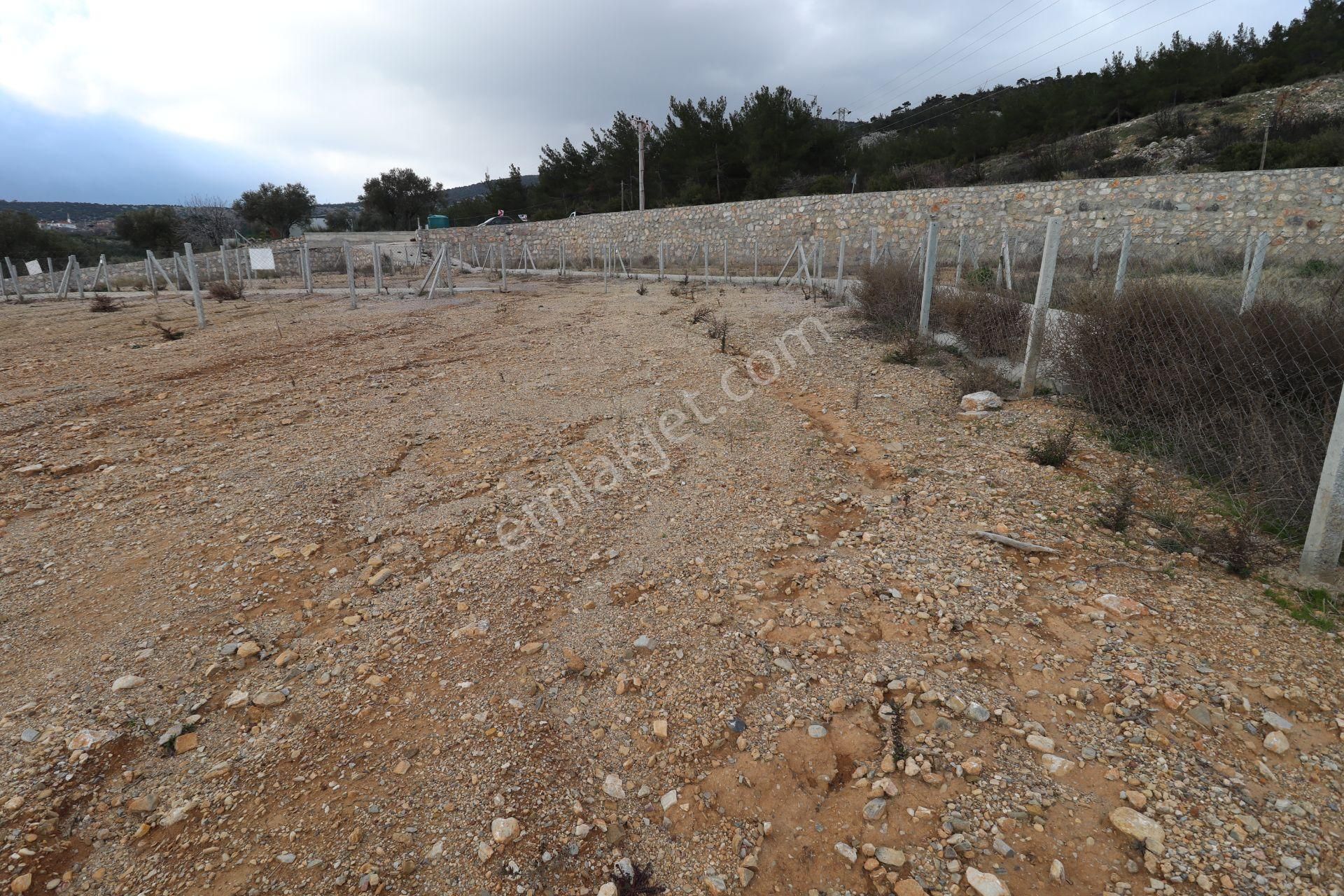 Kemalpaşa Çambel Satılık Bahçe 393 M2 - Görsel 29