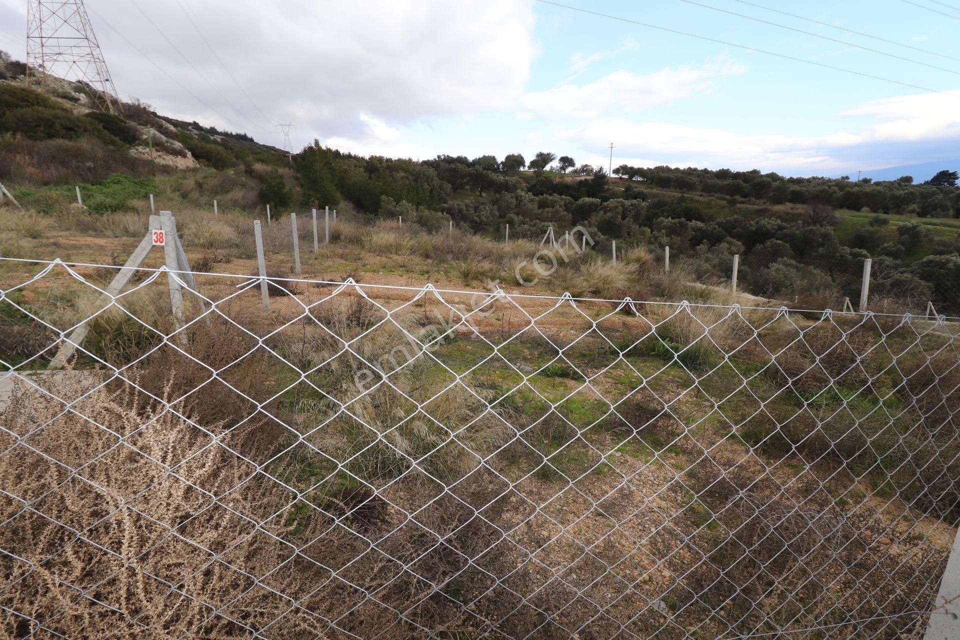 Kemalpaşa Çambel Satılık Bahçe 393 M2 - Görsel 25