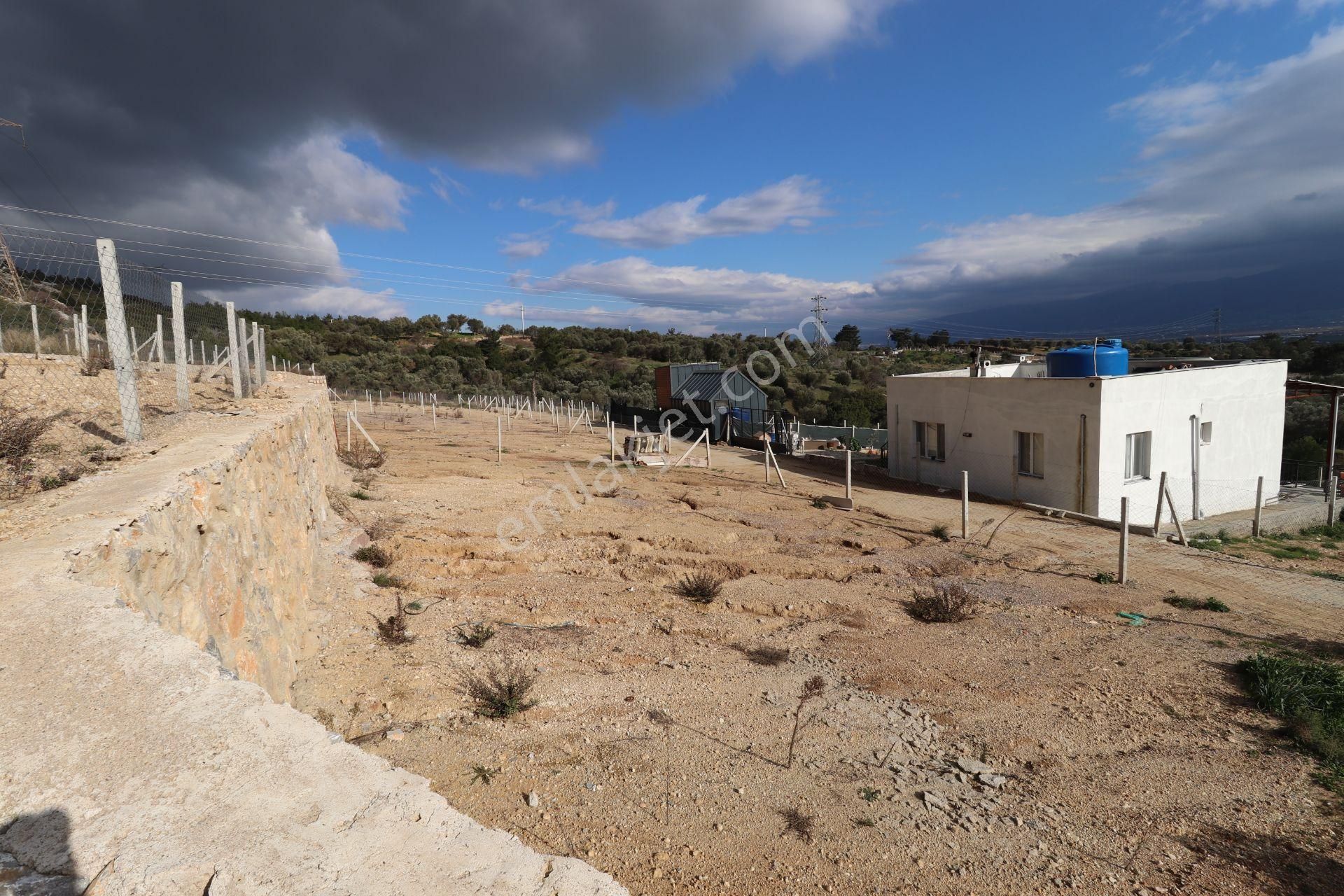 Kemalpaşa Çambel Satılık Bahçe 393 M2 - Görsel 10