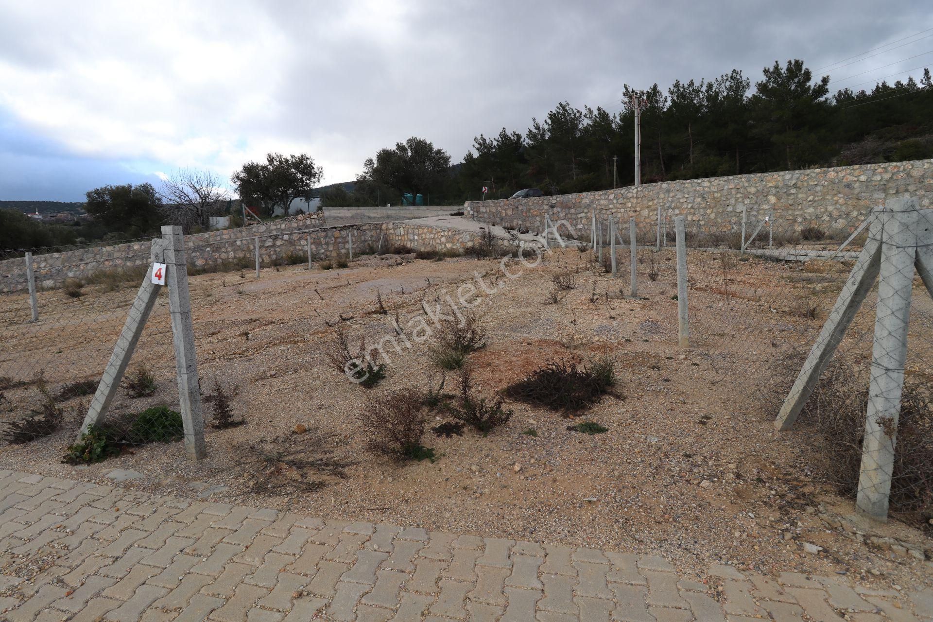 Kemalpaşa Çambel Satılık Bahçe 393 M2 - Görsel 17