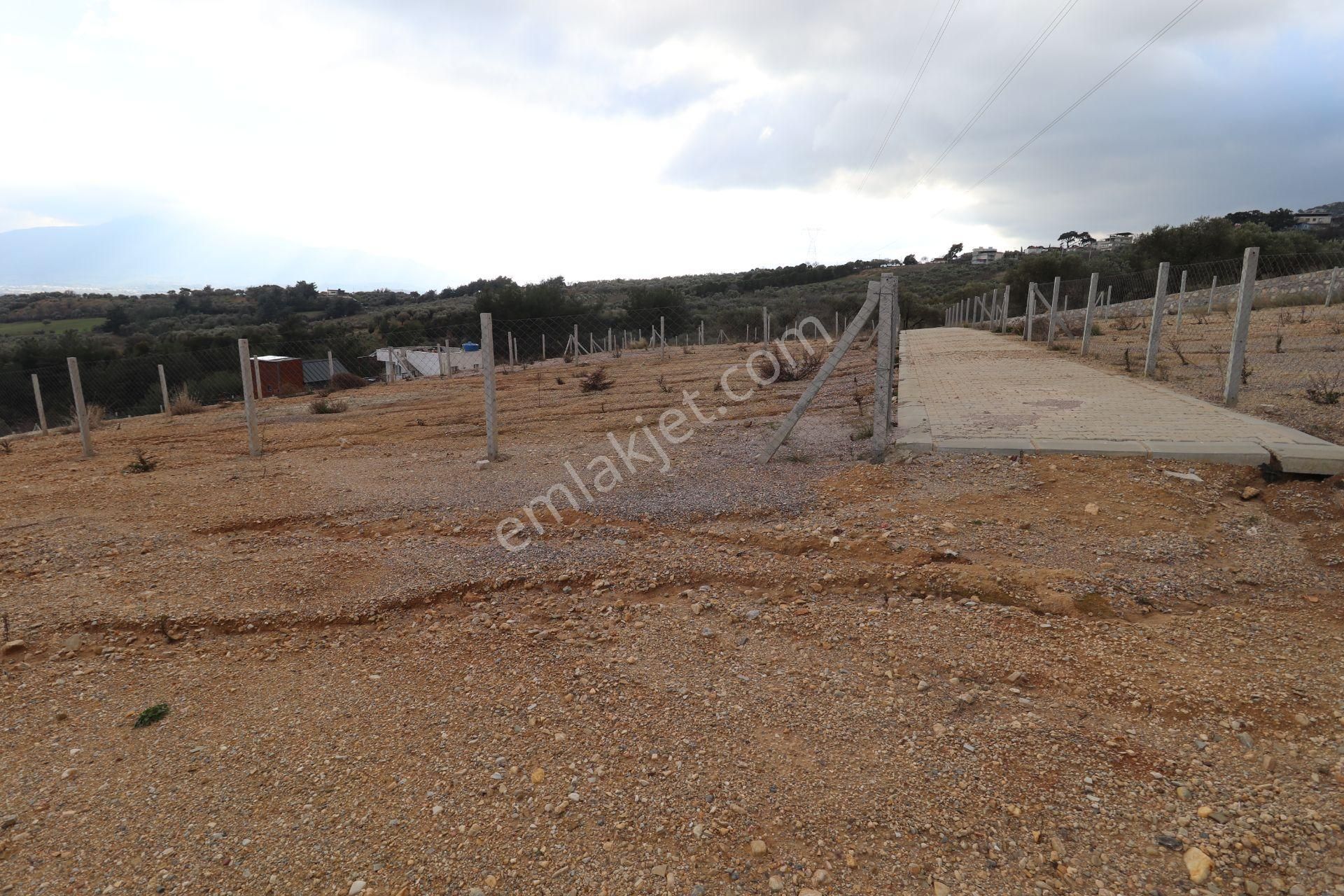 Kemalpaşa Çambel Satılık Bahçe 393 M2 - Görsel 24