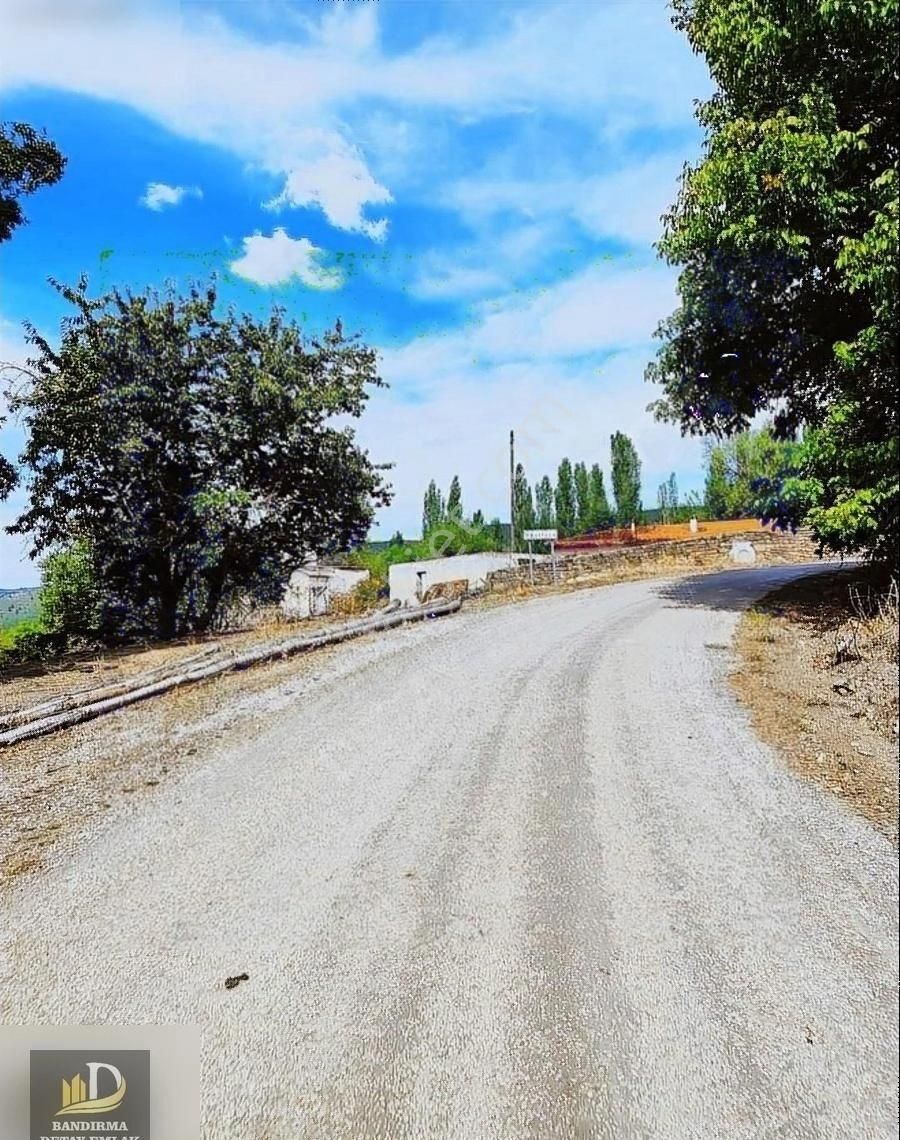 Gediz Uğurluca Köyü Satılık Tarla Detay Emlak'tan Kütahya Gedizde Kelepir Tarla!