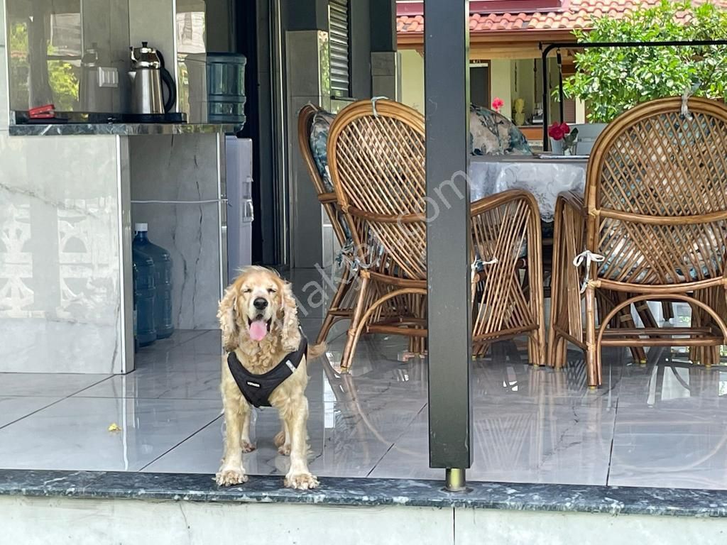 Kuşadası Davutlar Satılık Yazlık Kuşadası Davutlarda Satılıkl Yazlık