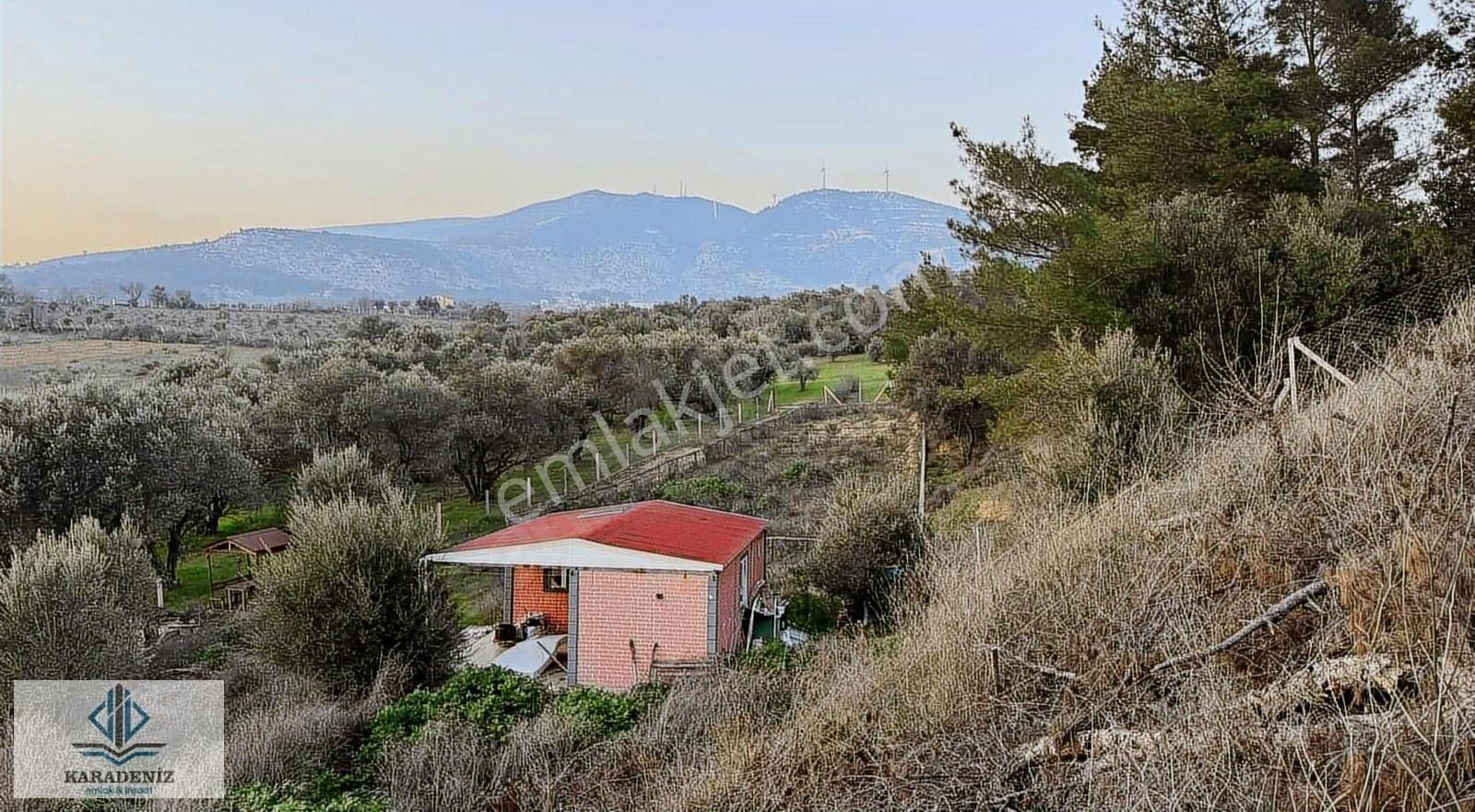 Kemalpaşa Çambel Satılık Bağ & Bahçe Karadeniz Emlak'tan Çambel'de Ana Yola 50metre 1.650m2 Bahçe