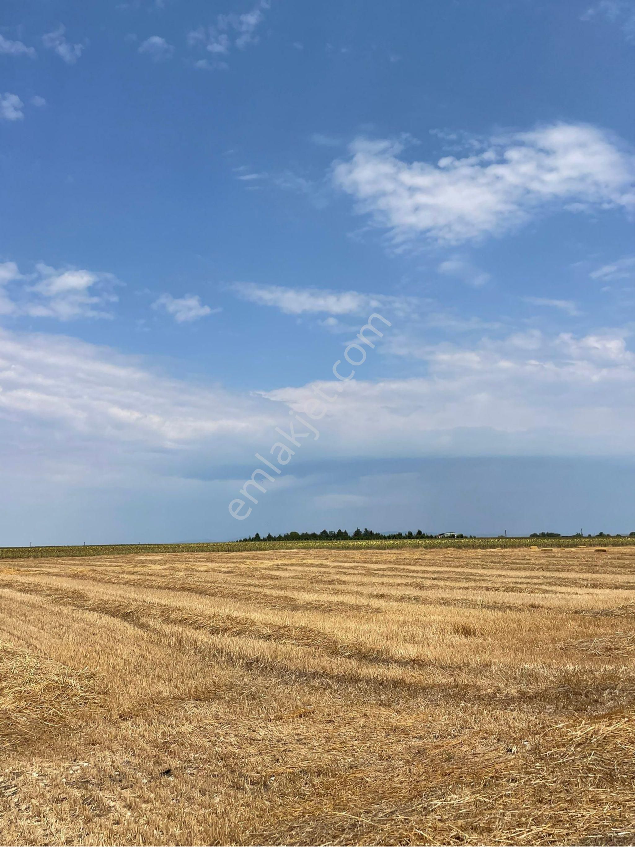 Saray Beyazköy Satılık Tarla Tekirdağ Saray Beyazköyde Satılık Tarla