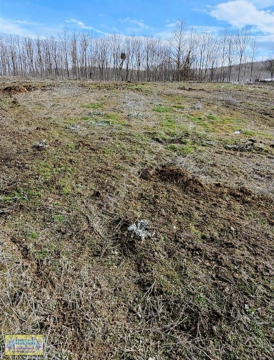 Bilecik Merkez Gazipaşa Satılık Tarla Bilecik Merkez Sütlük Köyünde Satılık 16500 M2 Arazi