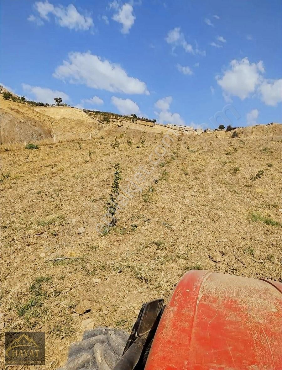 Siirt Merkez Ulus Satılık Tarla Hayat Gayrimenkulden Satılık Fırsat Tarla