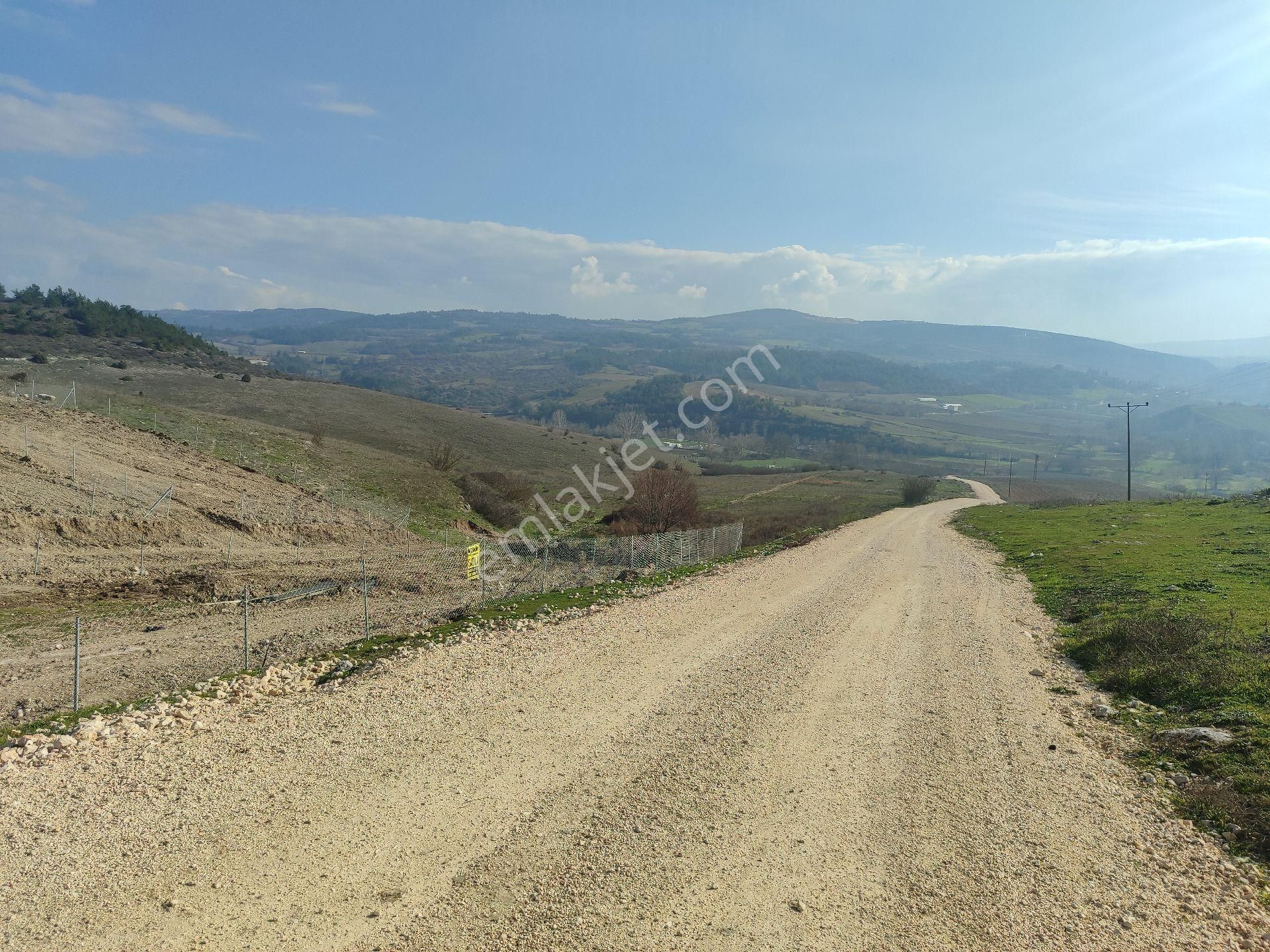 Köy Yaninda, Elektrik Su Yol Çit Mevcut 402 Mk Resmi Tapulu Bahçe. - Görsel 10