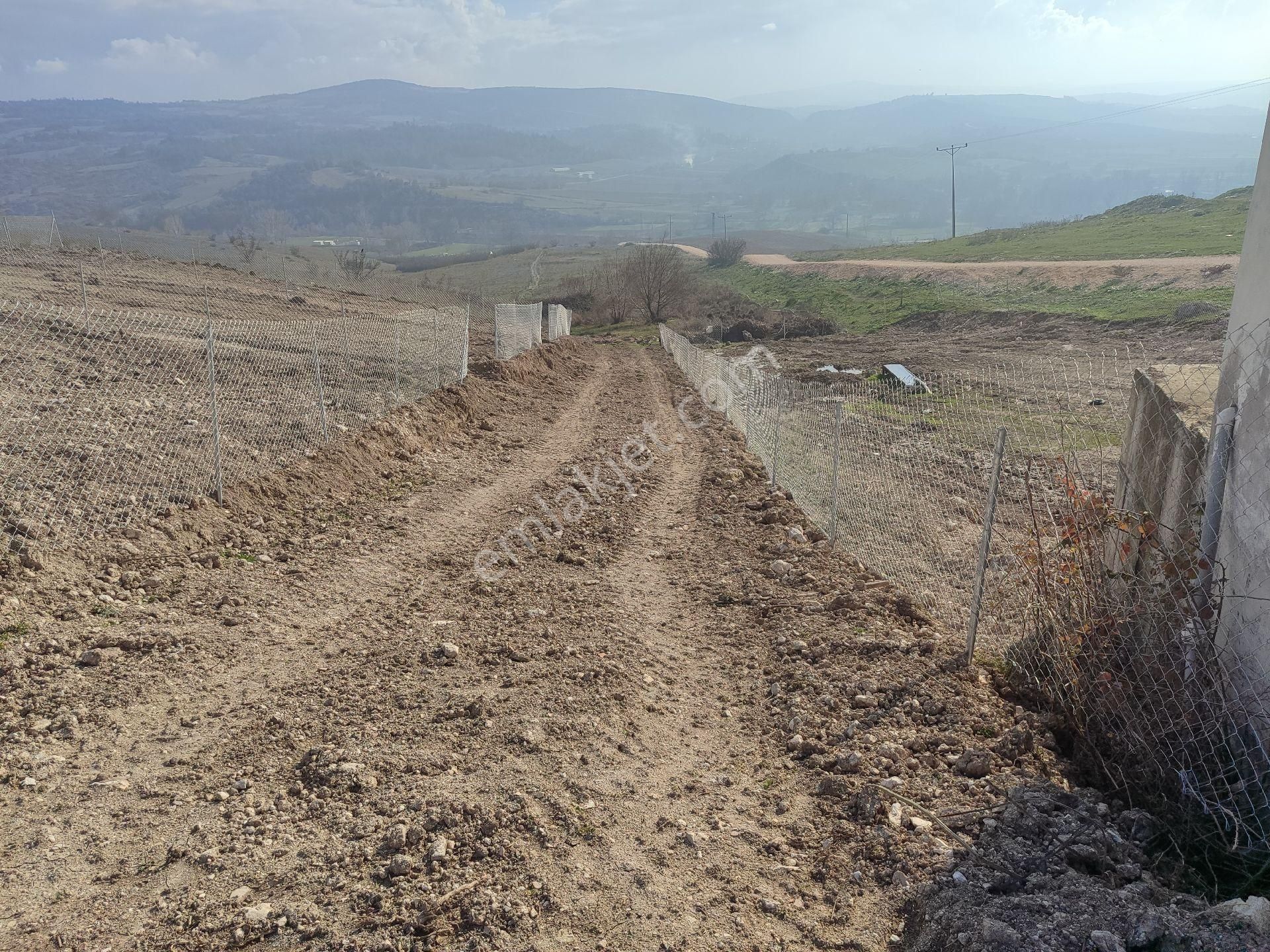 Köy Yaninda, Elektrik Su Yol Çit Mevcut 402 Mk Resmi Tapulu Bahçe. - Görsel 7