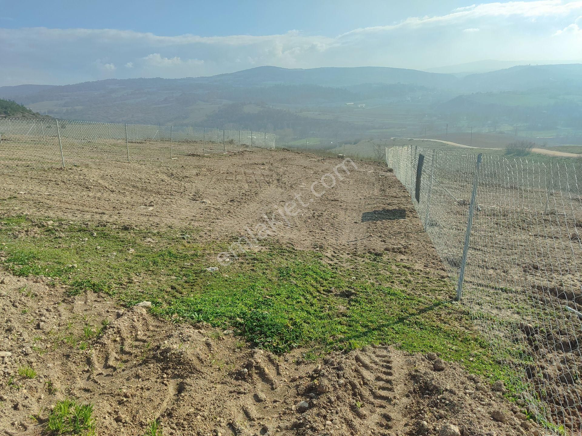 Köy Yaninda, Elektrik Su Yol Çit Mevcut 402 Mk Resmi Tapulu Bahçe. - Görsel 6