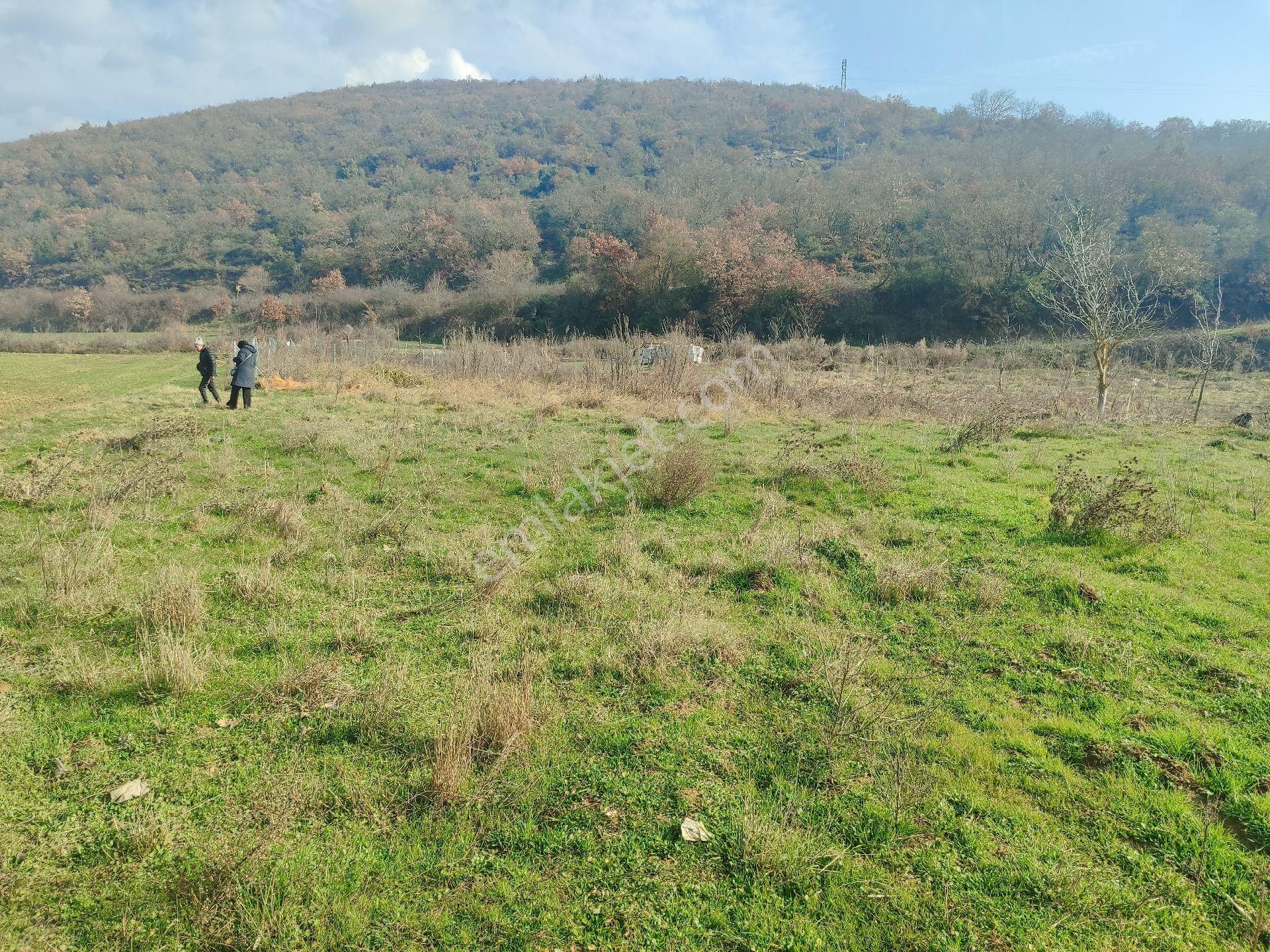 630 Mk Köye Yakın Yolu Suyu Mevcut Resmi Tapulu Bahçe. Yenişehir Fethiye De. - Görsel 5
