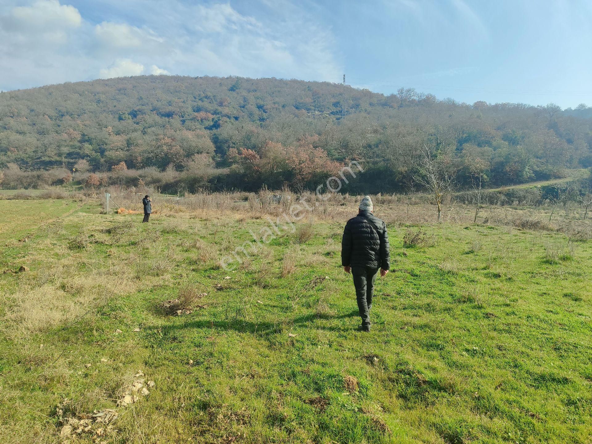 630 Mk Köye Yakın Yolu Suyu Mevcut Resmi Tapulu Bahçe. Yenişehir Fethiye De. - Görsel 6