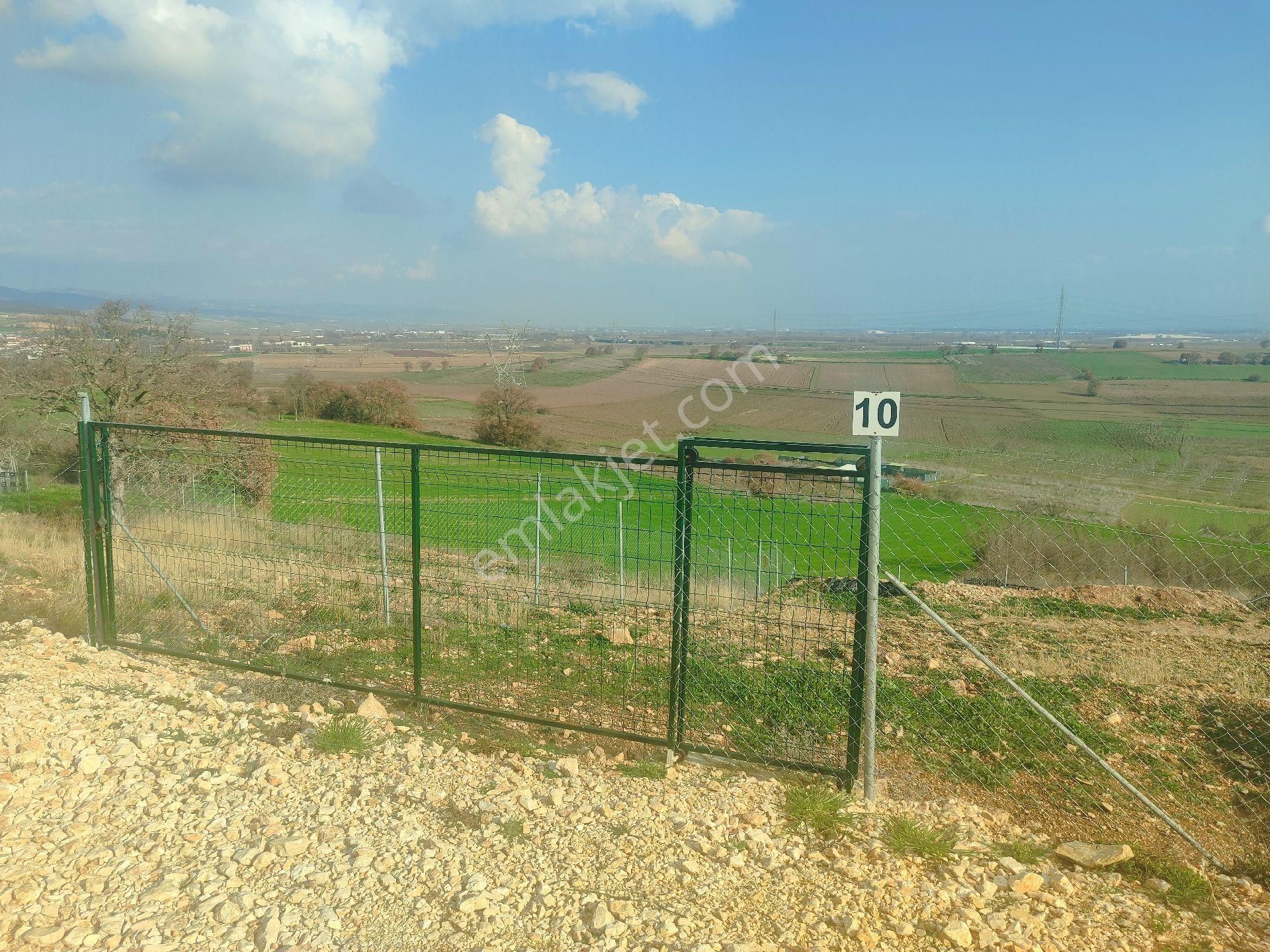 Yenişehir Koyunhisar Satılık Bağ & Bahçe Yenişehir Koyunhisar Da 382 Mk Etrafi Çitle Çevrili, Resmi Tapulu Bahçe