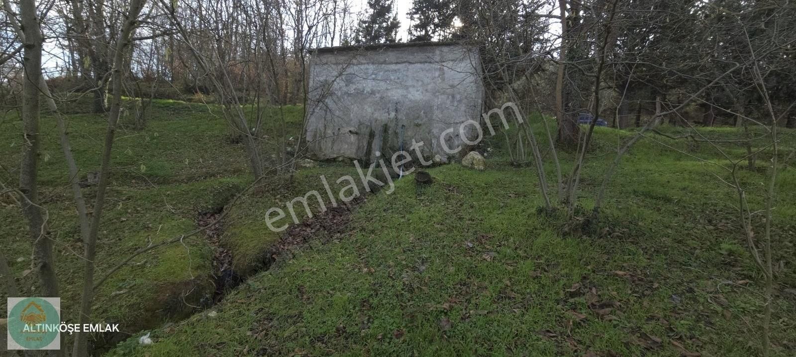 Altınköşe Emlak Satılık 9.374m2 Manzaralı Fındık Bahçesi - Görsel 2