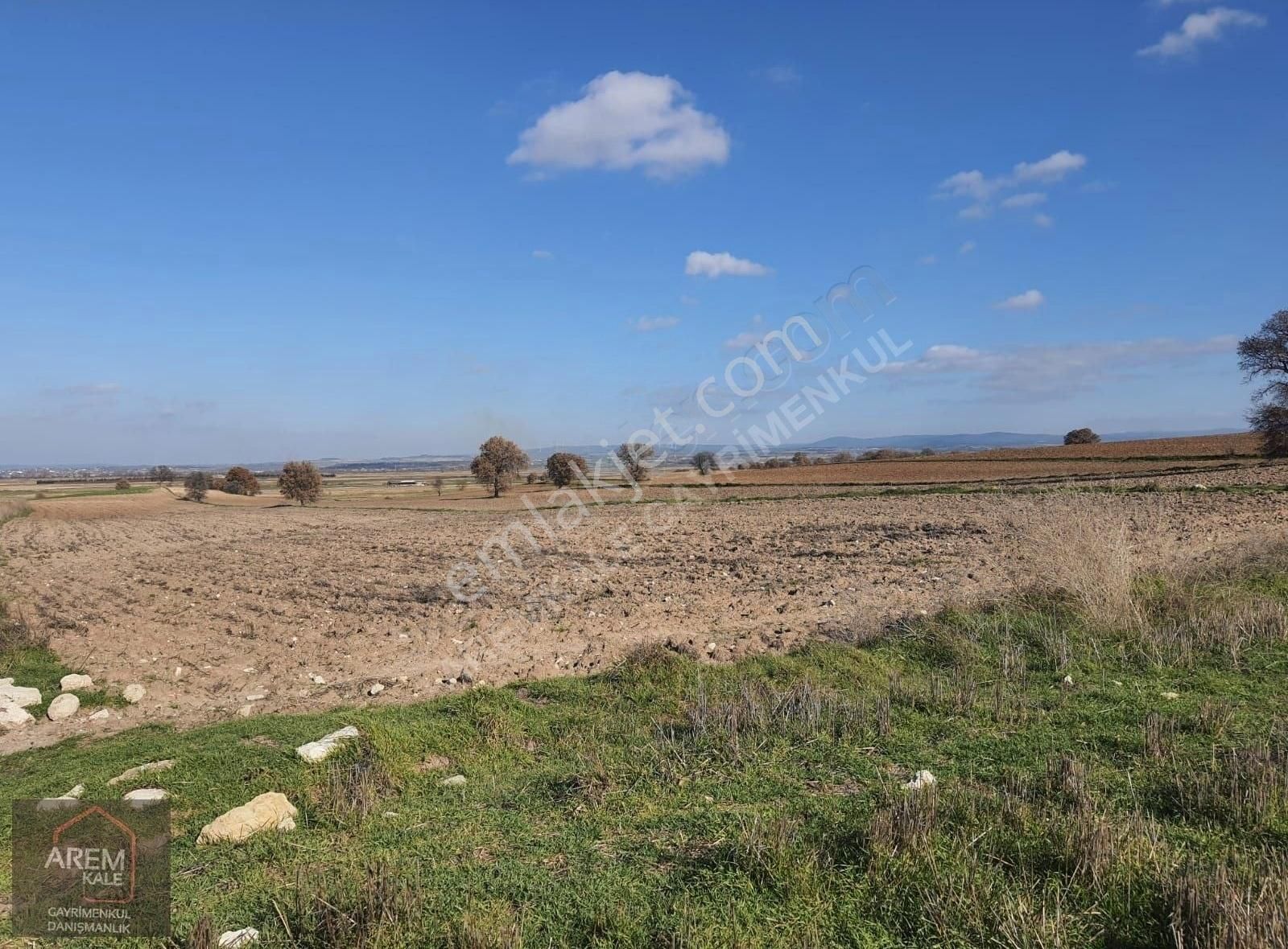 Ezine Mahmudiye Köyü (Atatürk) Satılık Tarla Çanakkale Ezine Mahmudiye Sivritepe Mevkii 106.378m2 Tarla