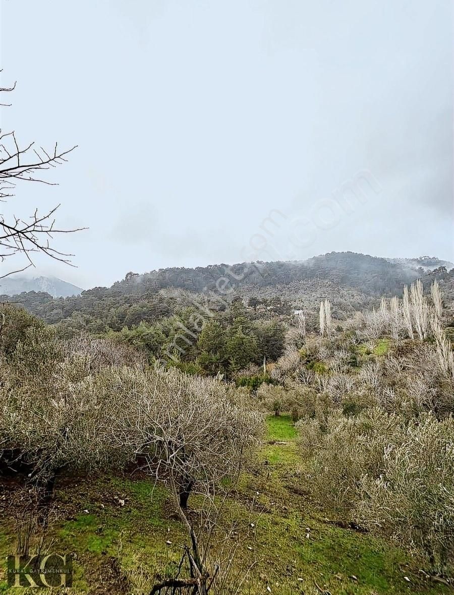 Bergama Akçenger Satılık Konut İmarlı Bergama Akçenger Köyü Satılık İmarlı Yapı