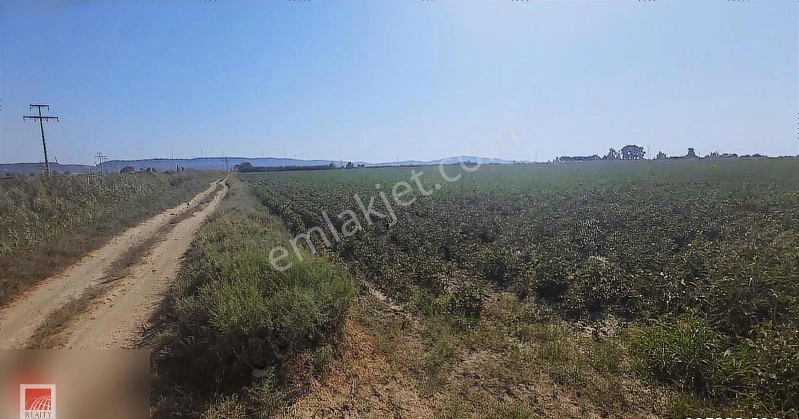 Söke Sarıkemer Satılık Tarla Söke Sarıkemer Mah.de 19831m² Kadastral Yola Sıfır Pamuk Tarlası