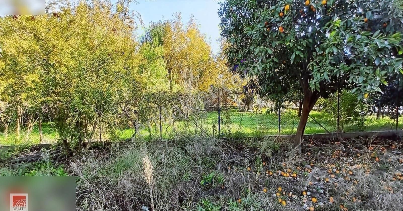 Söke Güllübahçe Mah.de Yola Sıfır 155 M² Hobi Bahçesi - Görsel 6