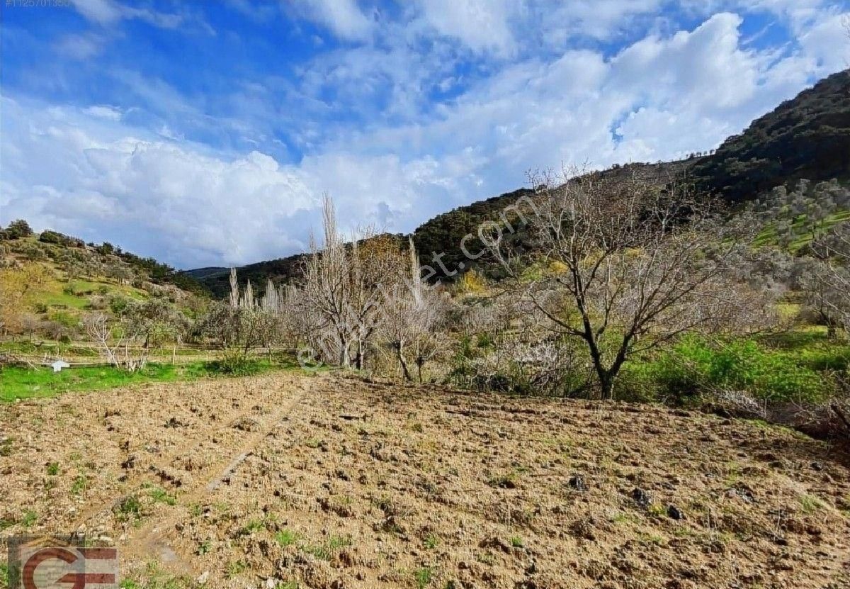 Yenice Hacıyusuflar Köyü Satılık Tarla Uygun Fiyata Yenice De Satılık Tarla