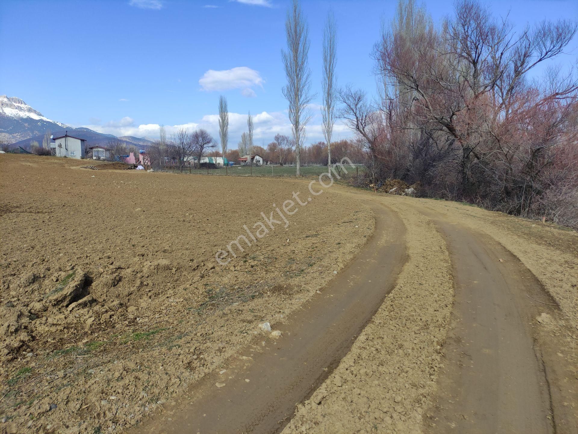 Seydişehir Gökçehüyük Satılık Tarla Konya Seydişehir Gökçehüyük M. Satılık Sulu Tarla 3700 M2.merkeze 4.5 Km.