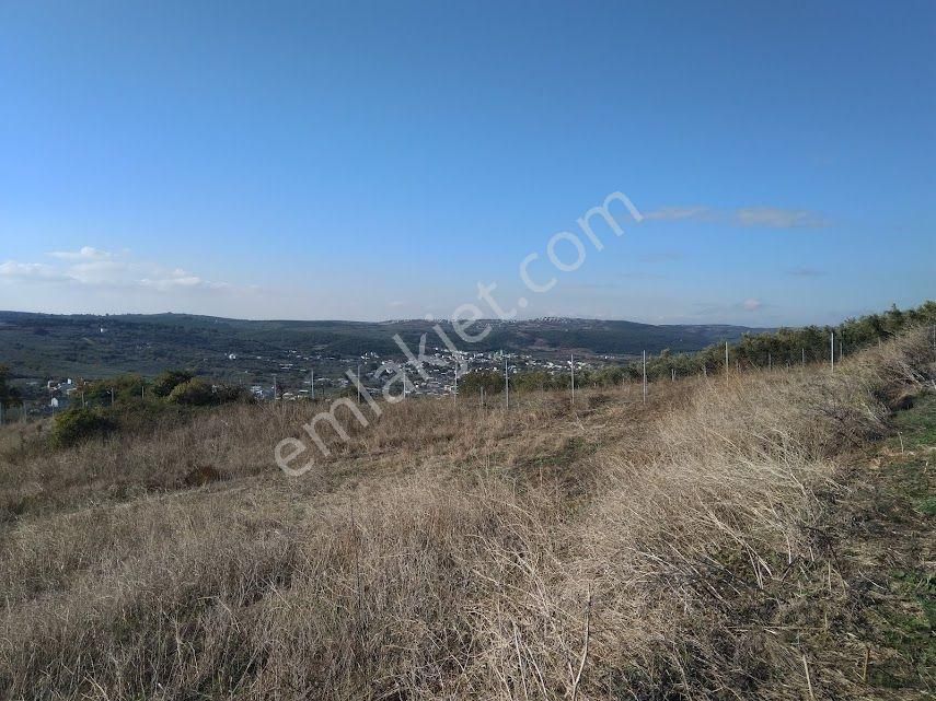 Mudanya Esence Satılık Tarla Mudi Emlak'tan Bursa Mudanya Eşkel Esence'de Manzaralı, Müstakil Tapulu, Uygun Fiyat Satılık Tarla