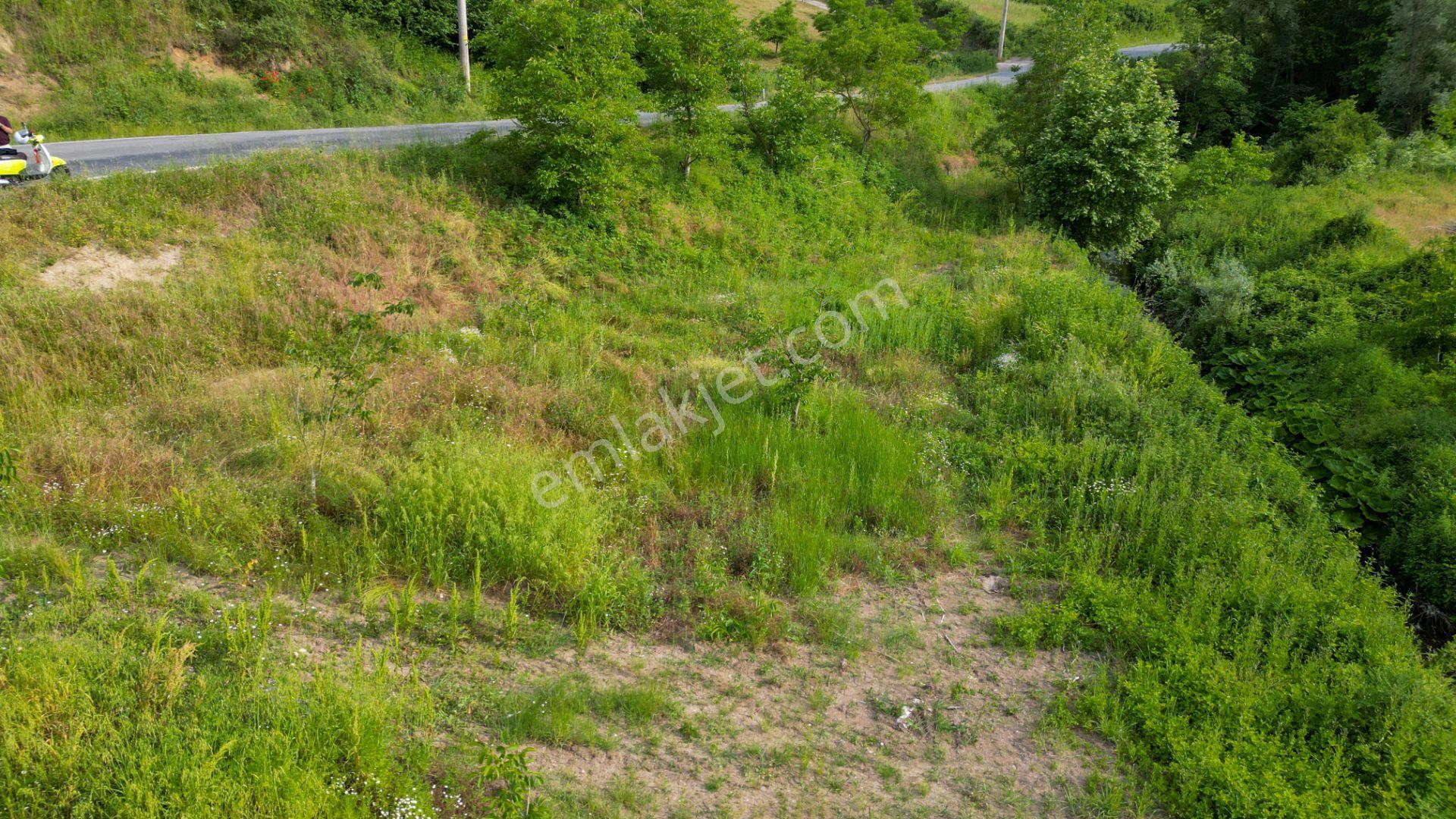 Kocaeli Karamürsel Kızderbent 1145 M2 Dere Kenarı Satılık Tarla - Görsel 11
