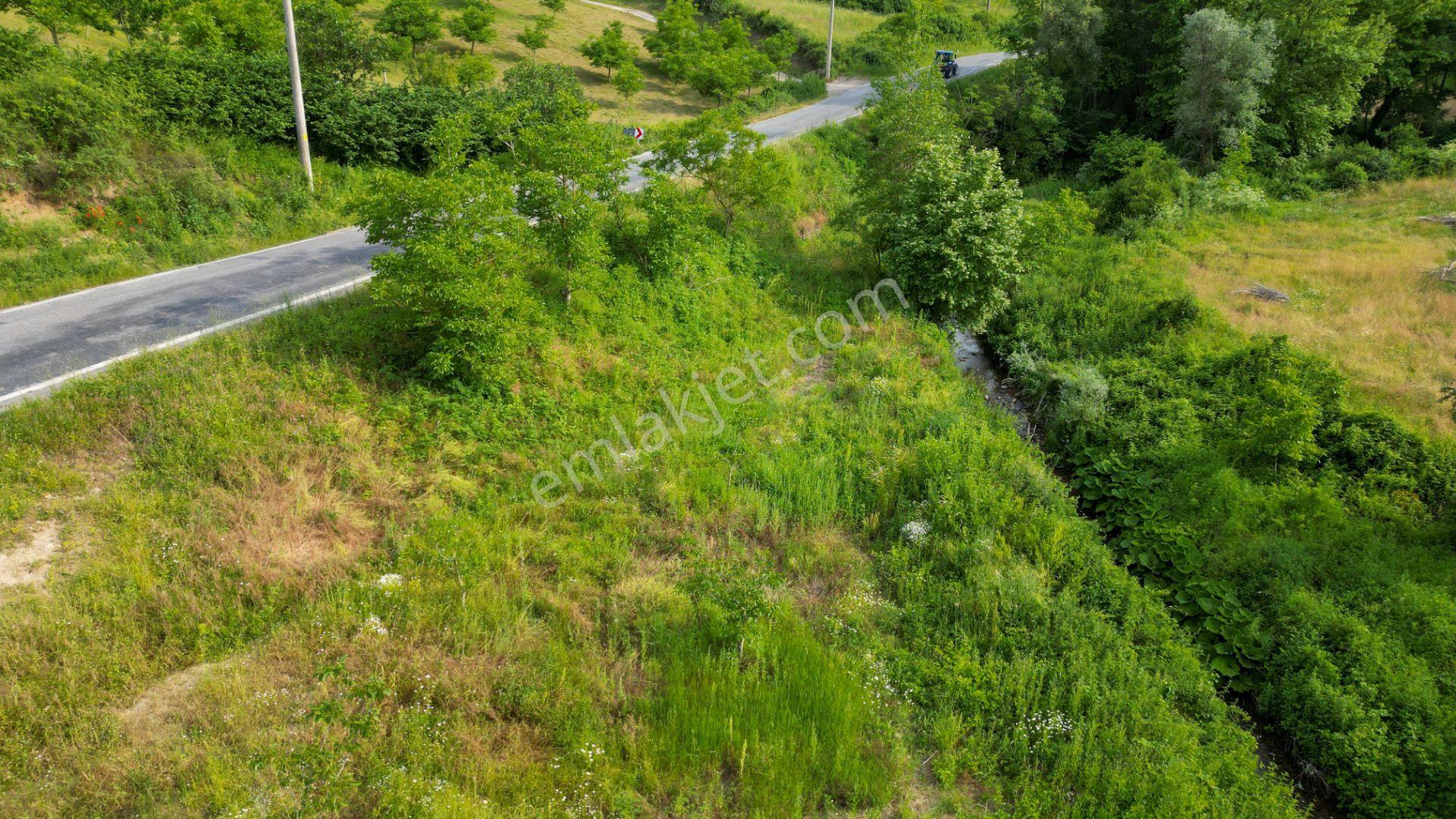 Kocaeli Karamürsel Kızderbent 1145 M2 Dere Kenarı Satılık Tarla - Görsel 9
