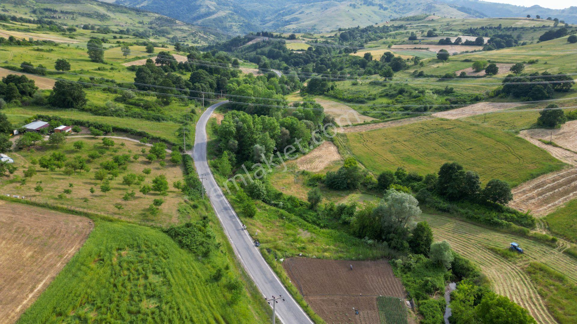 Kocaeli Karamürsel Kızderbent 1145 M2 Dere Kenarı Satılık Tarla - Görsel 3