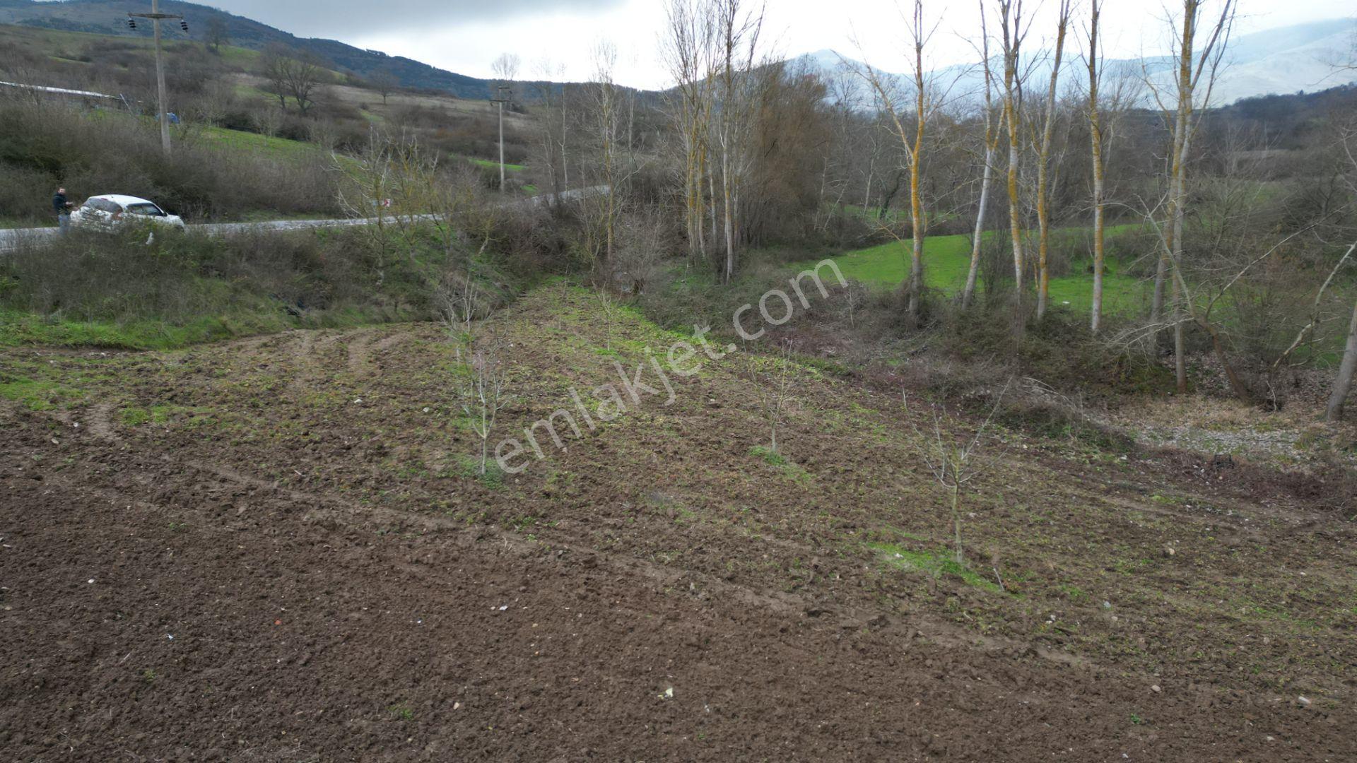 Kocaeli Karamürsel Kızderbent 1145 M2 Dere Kenarı Satılık Tarla - Görsel 14