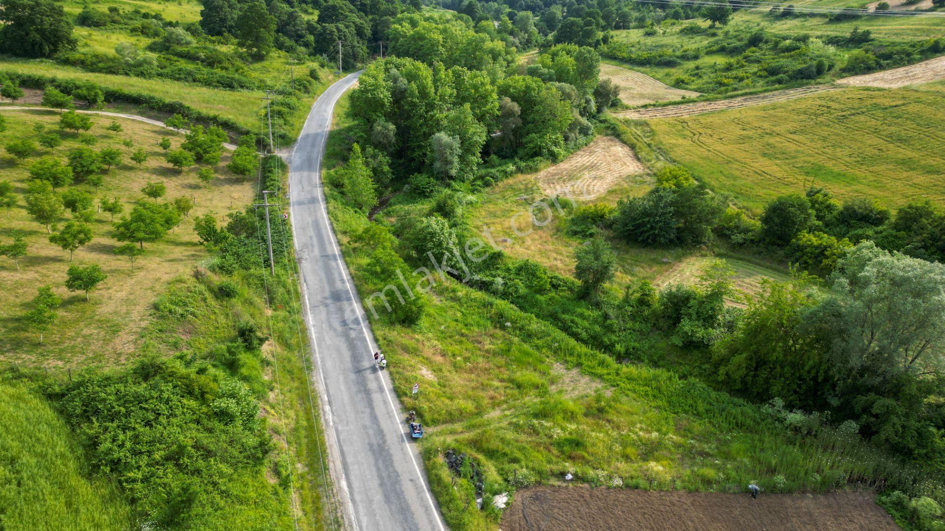 Kocaeli Karamürsel Kızderbent 1145 M2 Dere Kenarı Satılık Tarla - Görsel 5