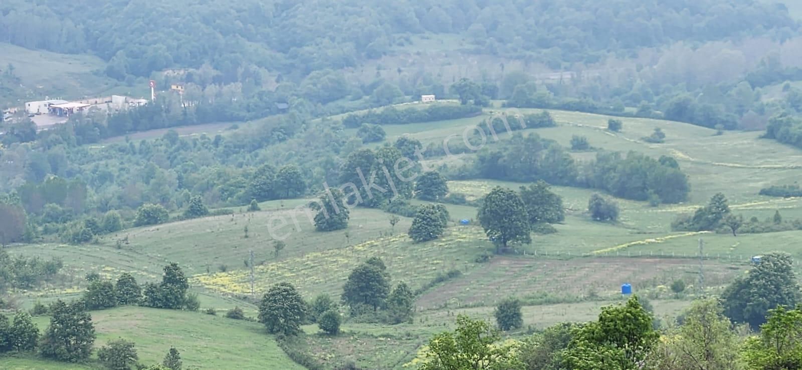 Bursa İnegöl Satılık Tarla - Görsel 12